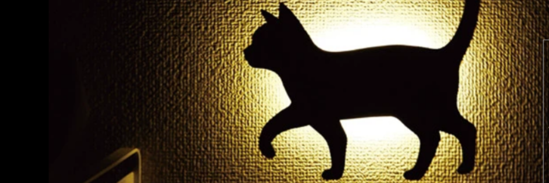 Cat Wall Light