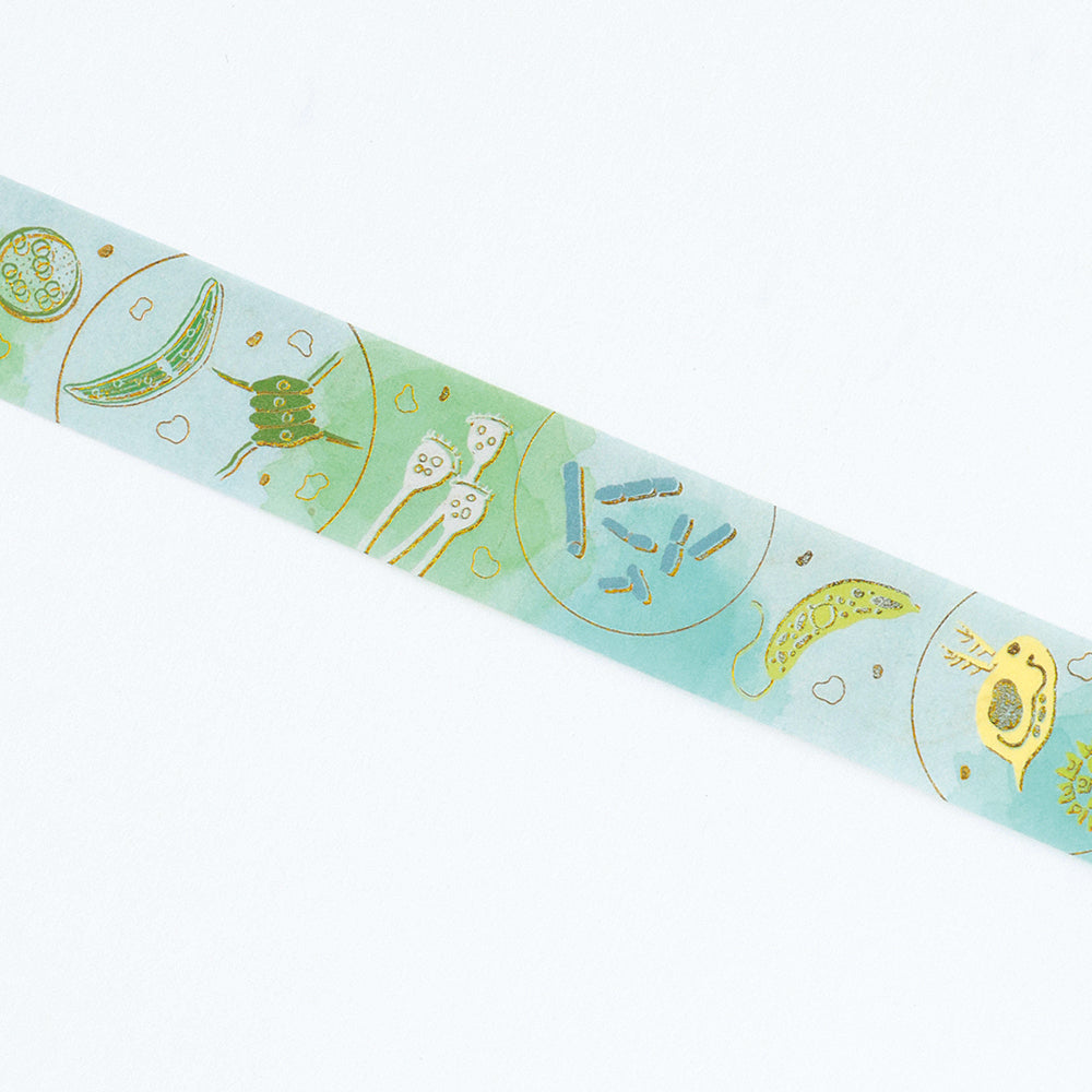 GreenFlash Washi Tape - Microbiology