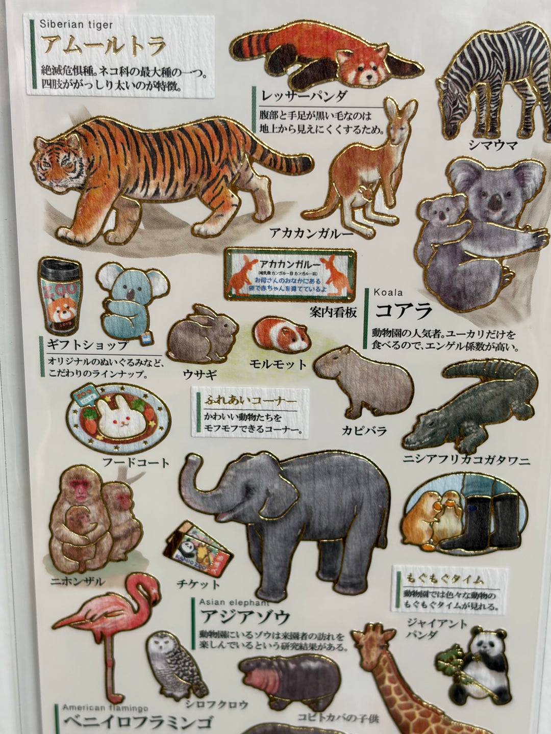 Kamio Japan Sticker Pack - Zoo