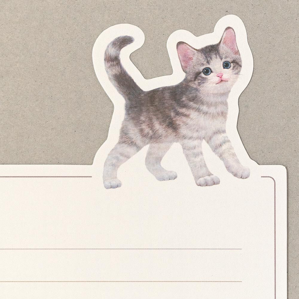 NB Letter Set - American Shorthair Cat - Louna