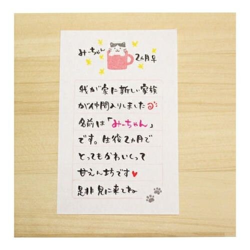 Furukawa Paper Works - "Soebumi" Gift Note Letter Paper - Cat in Mug