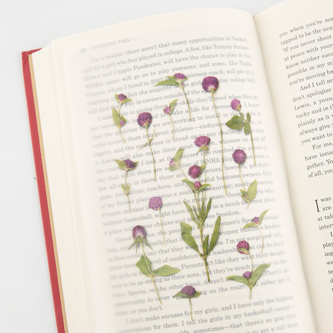 Appree Korea - Pressed Flower Stickers - Globe Amaranth