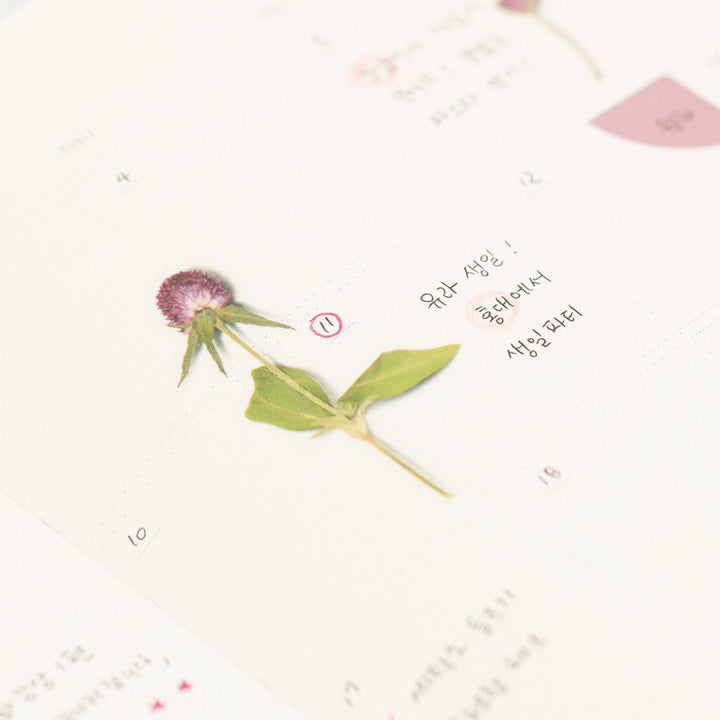 Appree Korea - Pressed Flower Stickers - Globe Amaranth