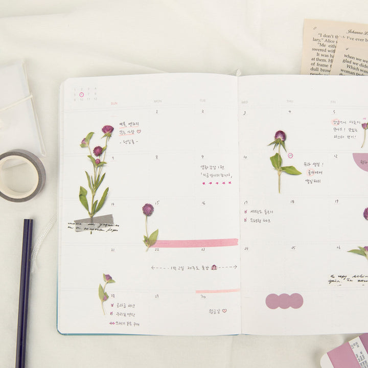 Appree Korea - Pressed Flower Stickers - Globe Amaranth