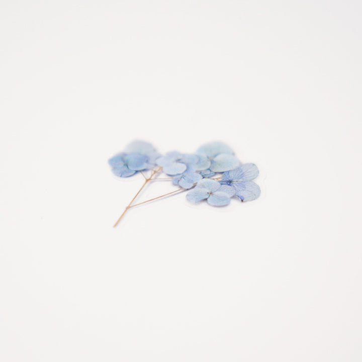 Appree Korea - Pressed Flower Stickers - Hydrangea