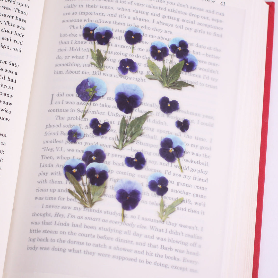 Appree Korea - Pressed Flower Stickers - Pansy