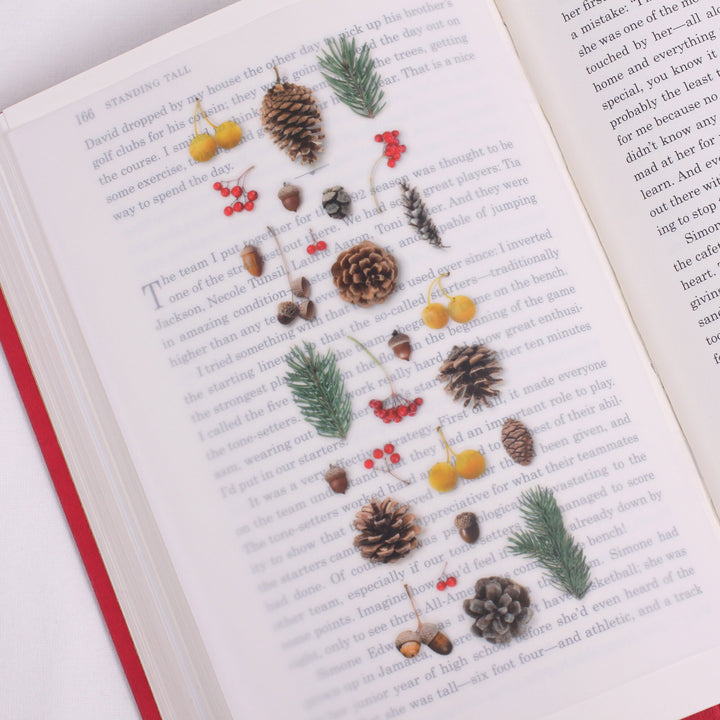 Appree Korea - Nature Stickers - Pine