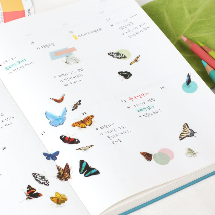 Appree Korea - Nature Stickers - Butterfly