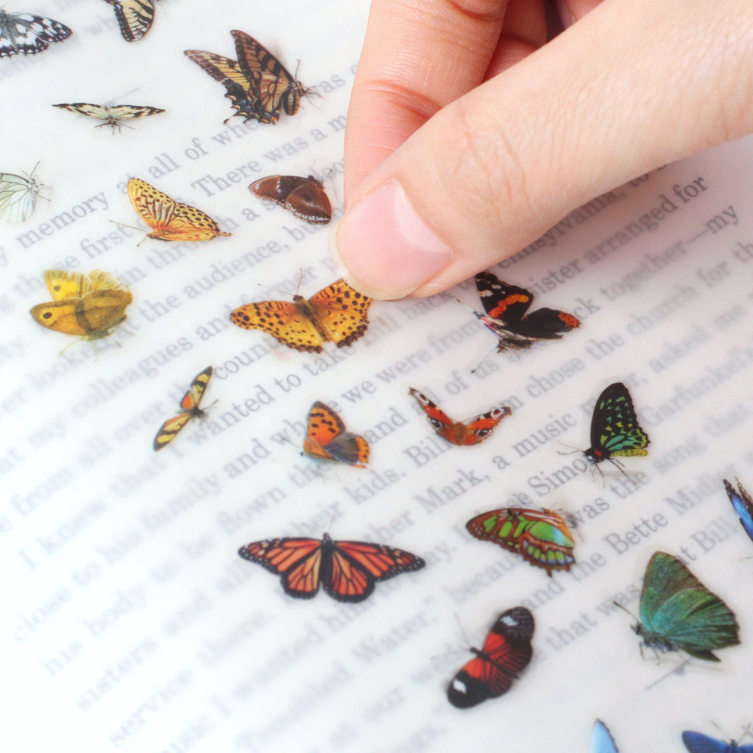 Appree Korea - Nature Stickers - Butterfly