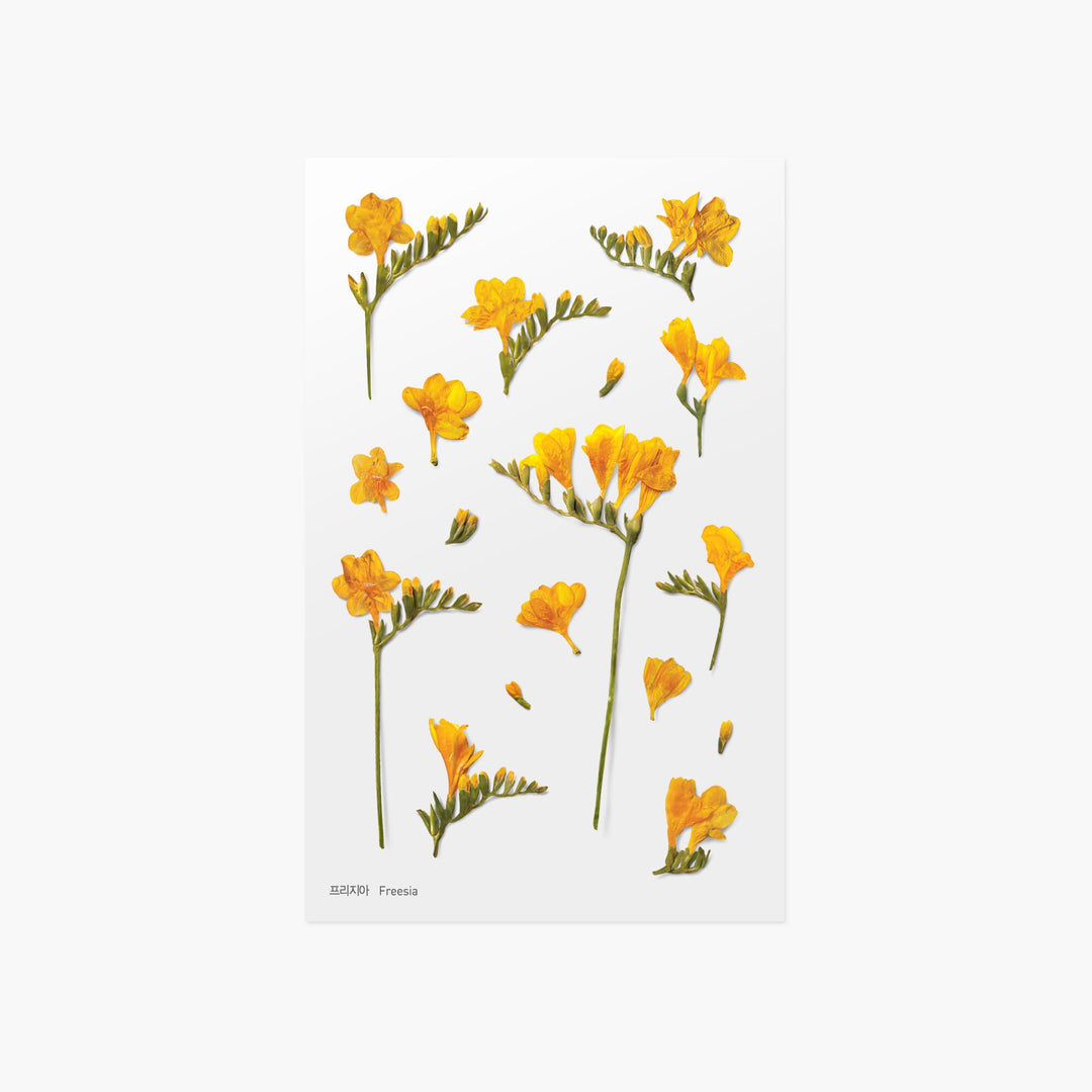 Appree Korea - Pressed Flower Stickers - Freesia