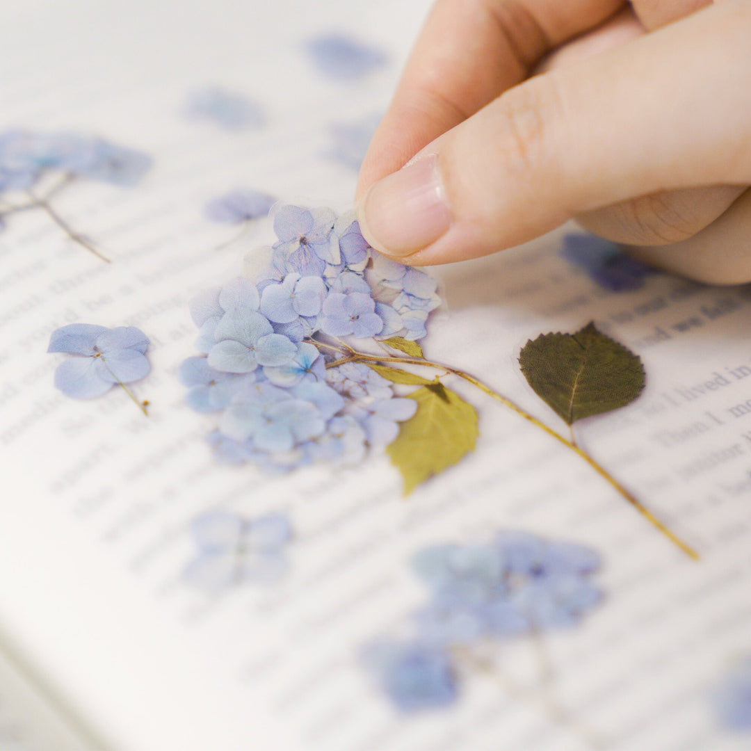 Appree Korea - Pressed Flower Stickers - Hydrangea