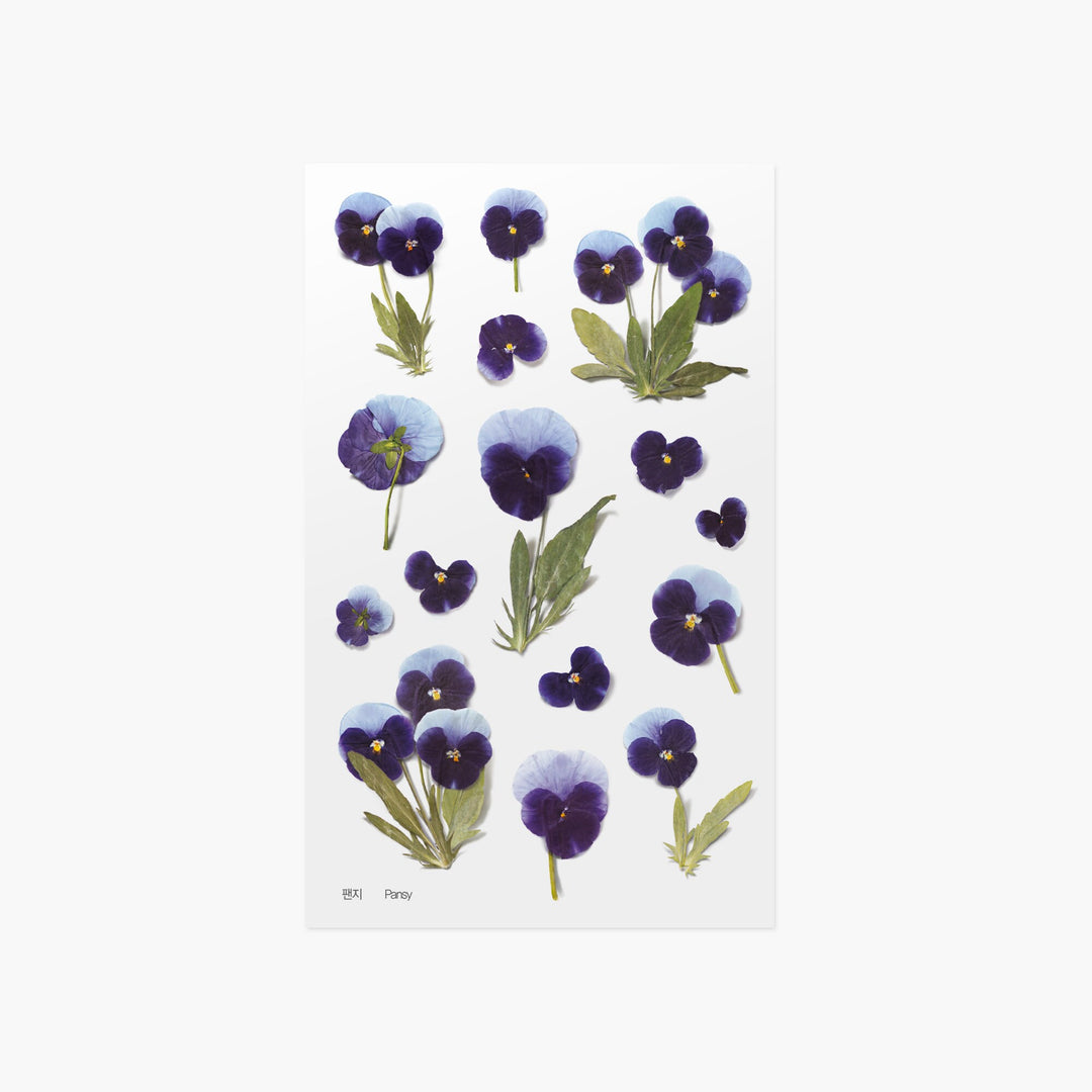 Appree Korea - Pressed Flower Stickers - Pansy