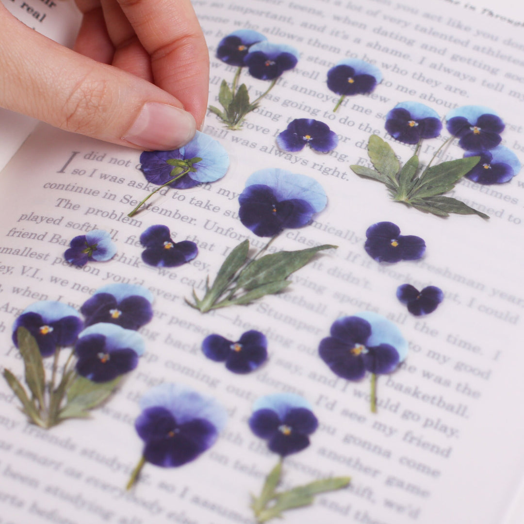 Appree Korea - Pressed Flower Stickers - Pansy