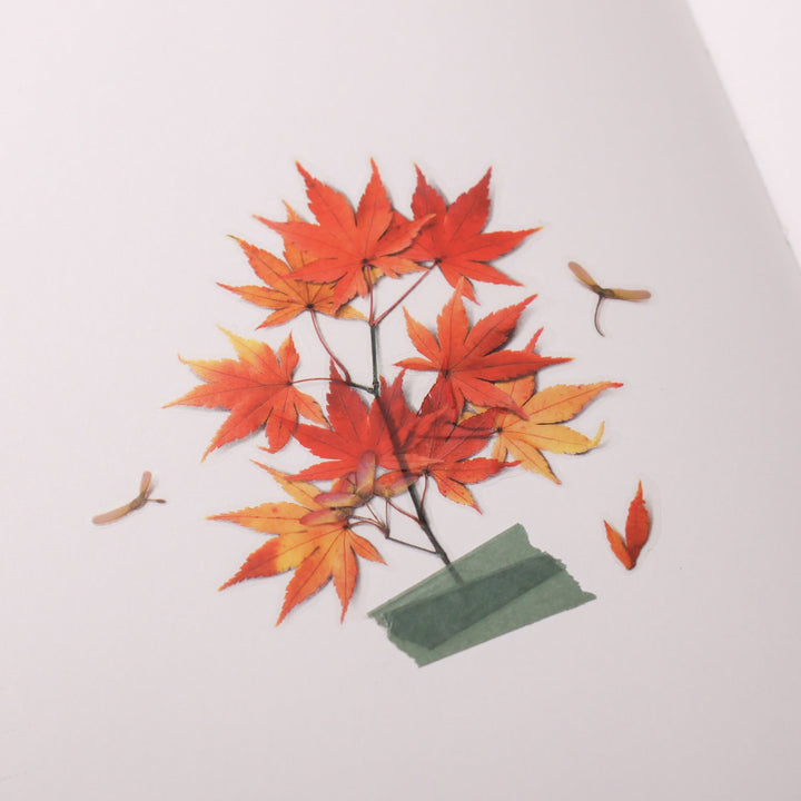 Appree Korea - Pressed Flower Stickers - Red Maple Leaf