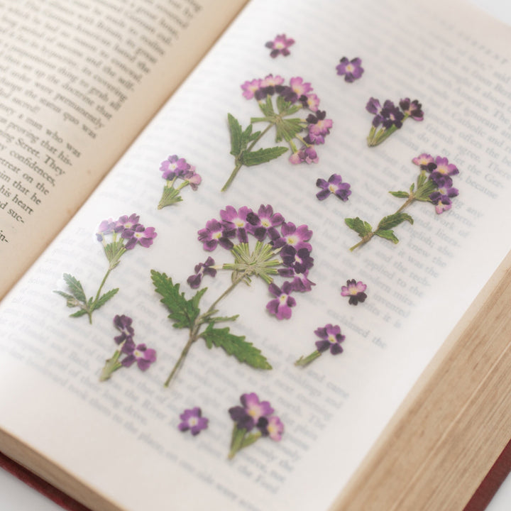 Appree Korea - Pressed Flower Stickers - Verbena