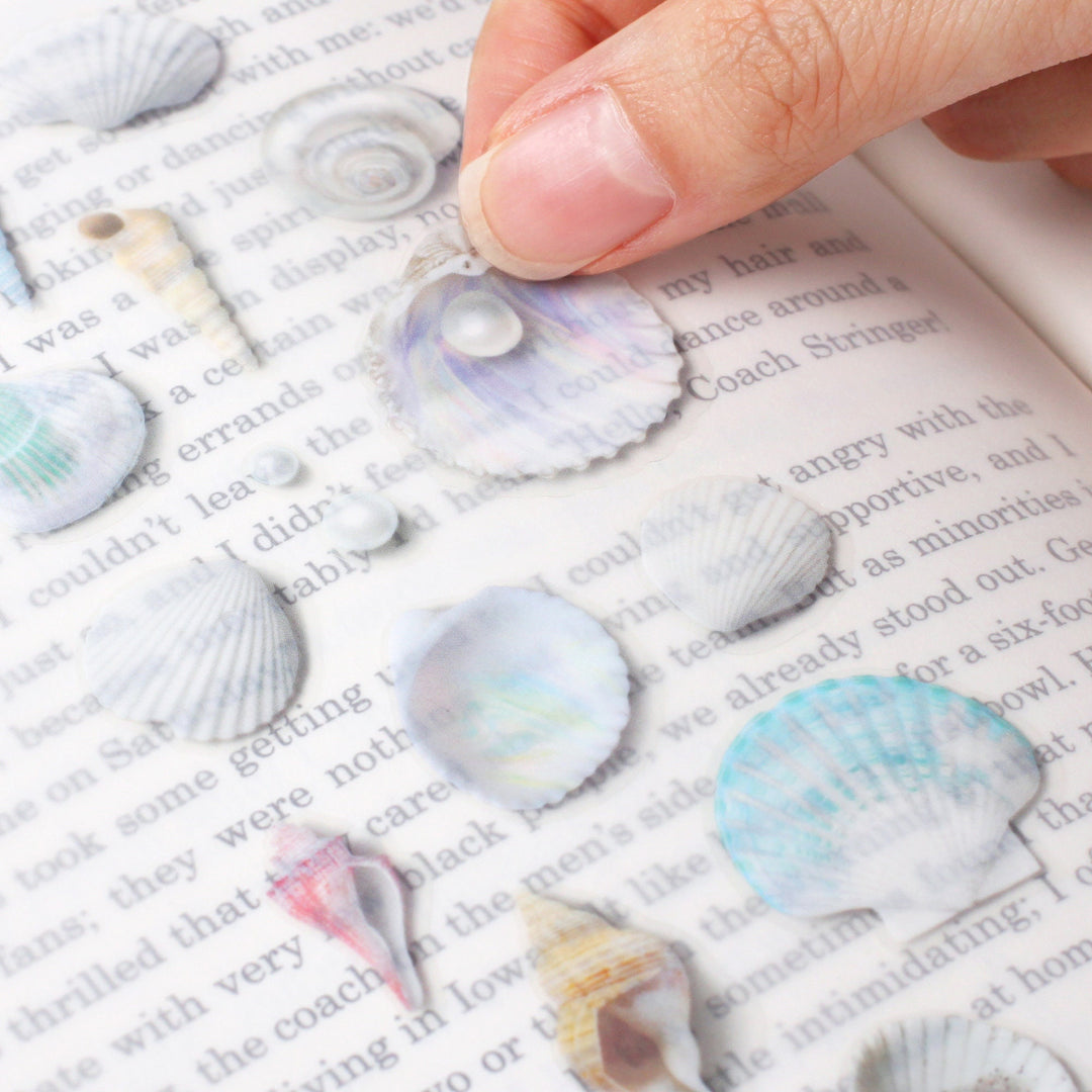 Appree Korea - Nature Stickers - Seashell