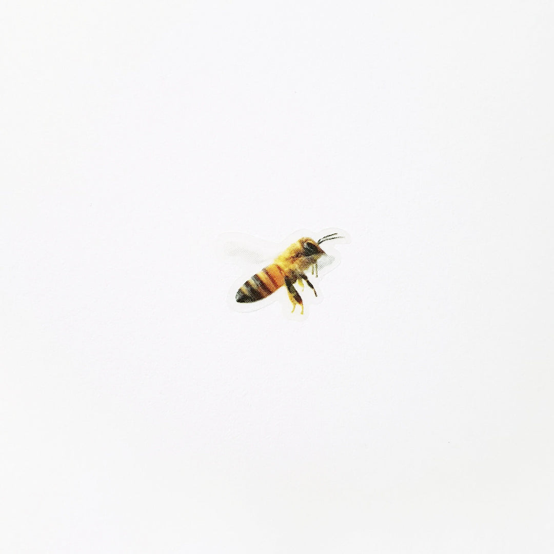 Appree Korea - Nature Stickers - Honeybee