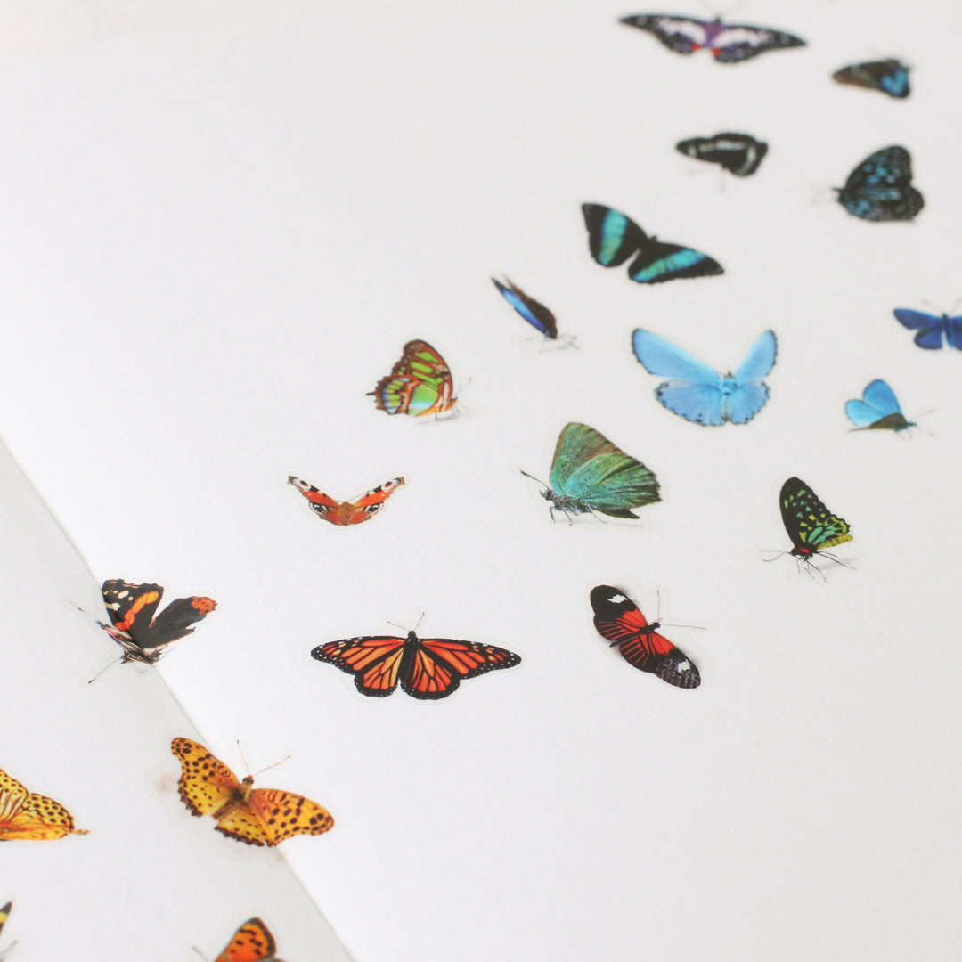 Appree Korea - Nature Stickers - Butterfly